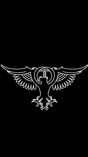 METU Falcons arması